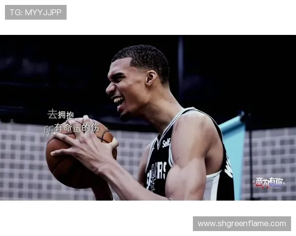 2013年热火队对阵黄蜂队全场精彩比赛录像回顾与分析