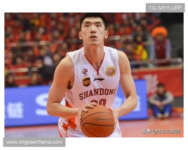 陶汉林:从篮球场上的拼搏者到社会公益的积极倡导者